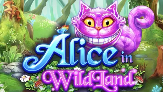 Alice’s Wonderland