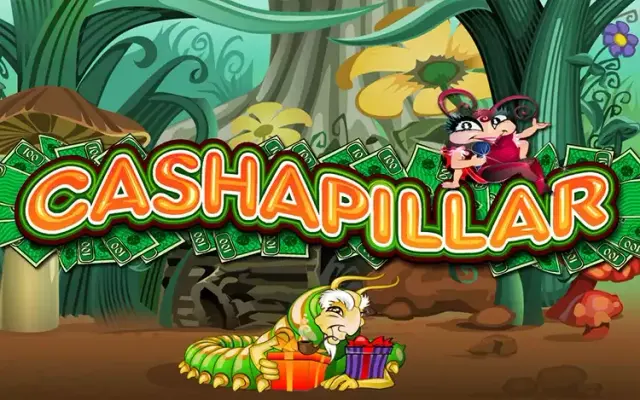 Cashapillar