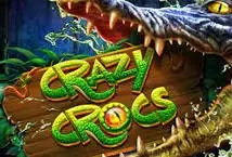 Crazy Crocs