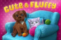 Cute and Fluffy