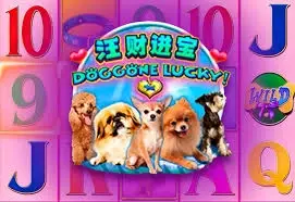 Doggone Lucky
