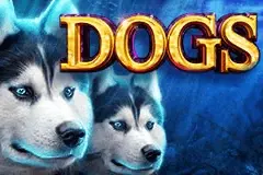 Dogs