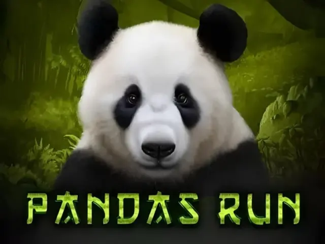 Panda's Run