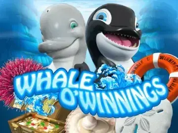 Whale OWinnings